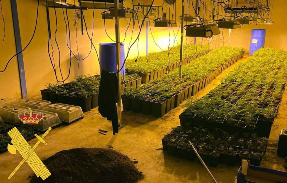 Detenidas tres personas con más de 1.700 plantas de marihuana en una nave industrial de Viator