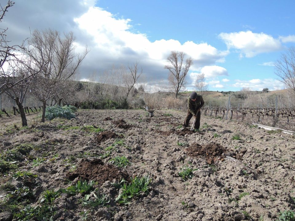 El Gobierno asigna nuevos derechos de ayuda básica a la renta de agricultores por valor de 11,95 millones