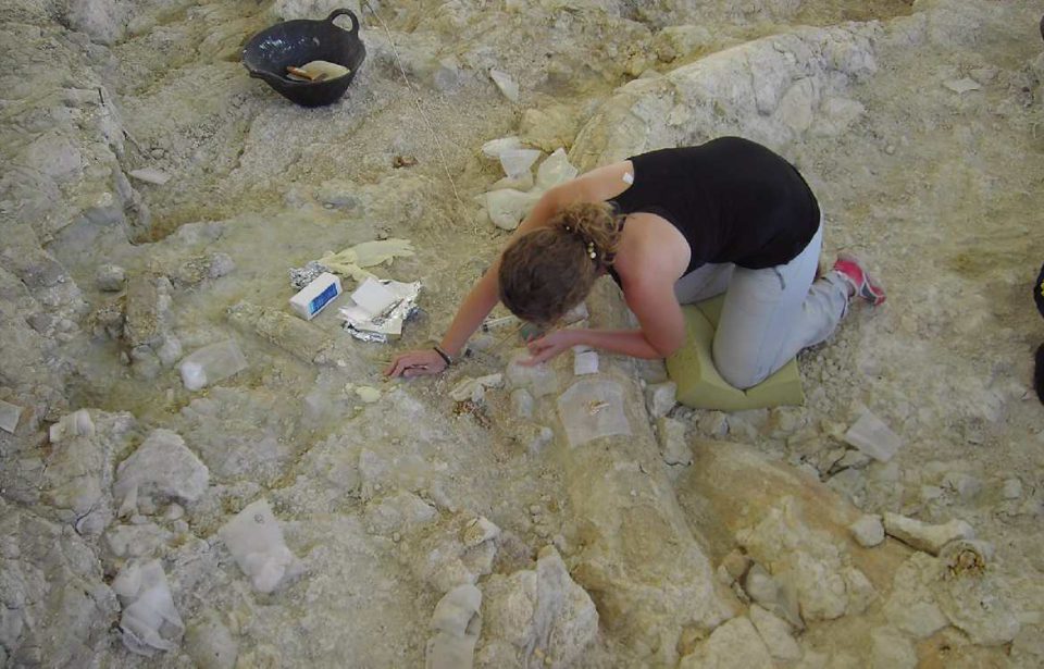 Hallan una trampa natural en arenas movedizas con más de un millón de años en 'cementerio de elefantes' de Orce