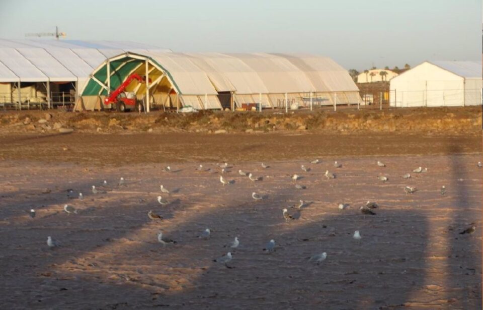 El CSIC desaconseja el festival en Las Salinas de Roquetas al constatar la presencia de aves "vulnerables"